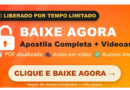 Mapas Mentais Português Concursos: Principais Tópicos PDF