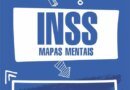 INSS Técnico 400 Mapas Mentais (PDF)